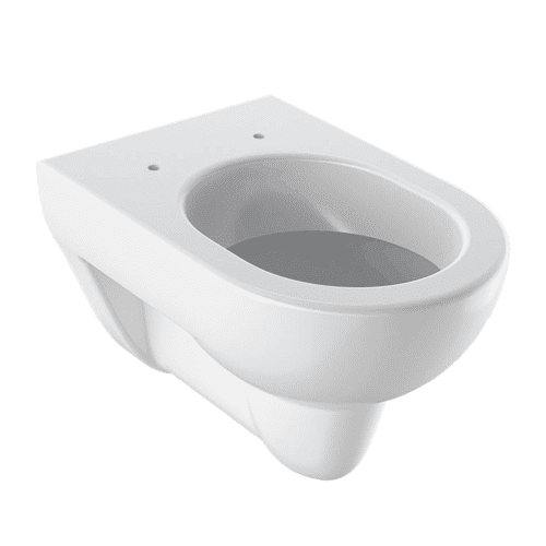 Wall-hung toilet